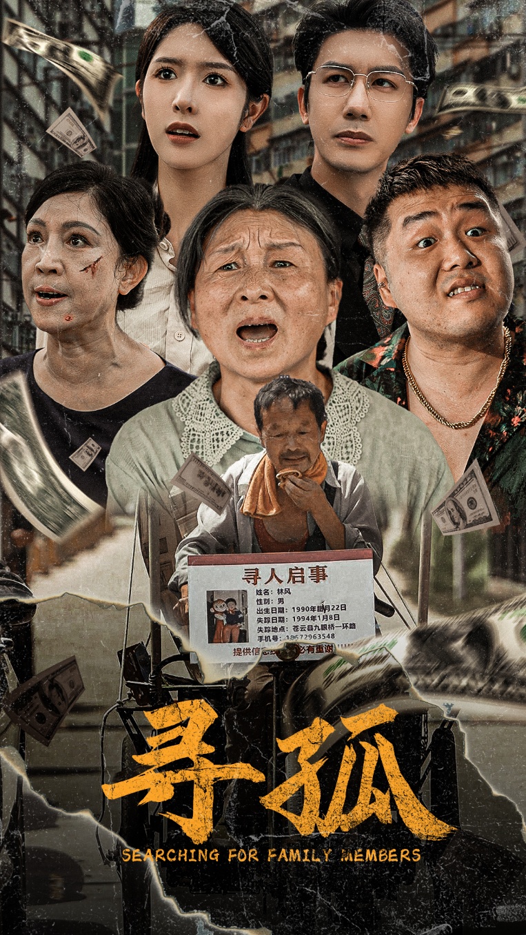 电影：寻孤