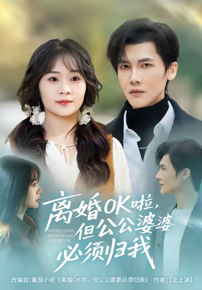 电影：离婚OK啦，但公公婆婆必须归我