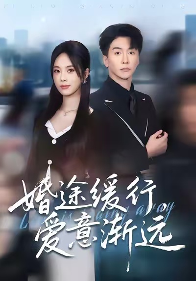 电影：婚途缓行，爱意渐远