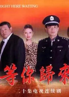电影：等你归来