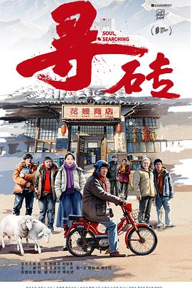 电影:寻砖