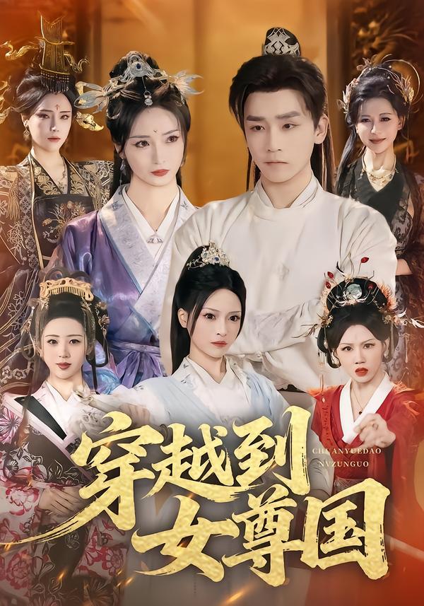 电影：穿越到女尊国