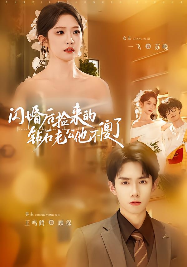 电影：闪婚后捡来的钻石老公他不傻了