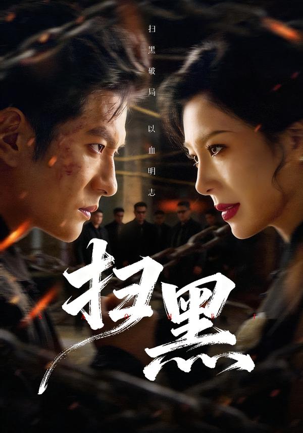 电影：扫黑