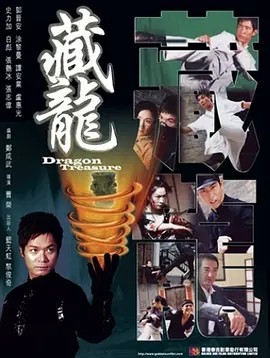 电影:藏龙