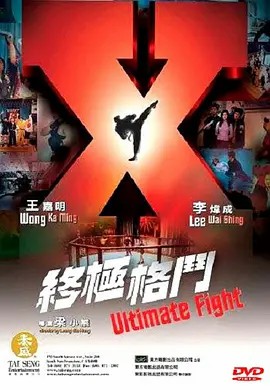 电影：终极格斗