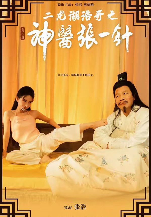 电影：二龙湖浩哥之神医张一针