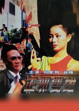电影：正邪双雄