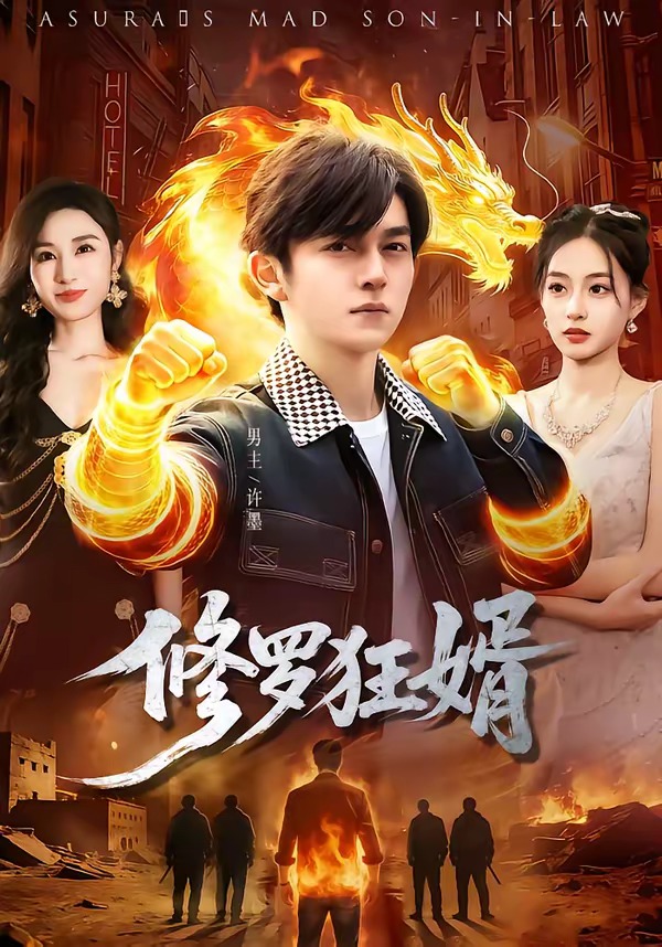 电影：修罗狂婿