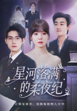 电影：星河落满的柔夜纪