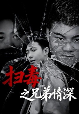 电影：扫毒之兄弟情深