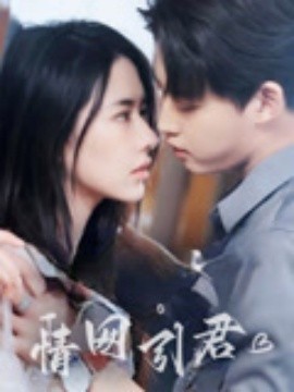 电影：情网引君