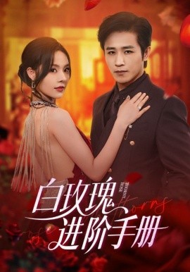 电影：白玫瑰进阶手册