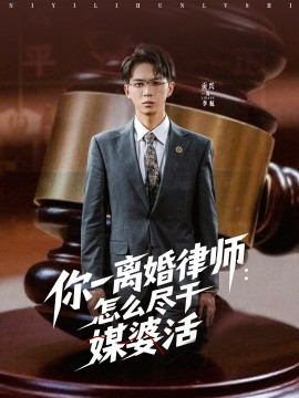 电影：你一离婚律师：怎么尽干媒婆活