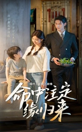 电影：命中注定缘归来