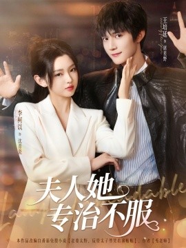 电影：夫人她专治不服