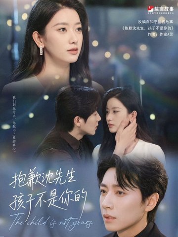 电影：沈先生我们复合好不好