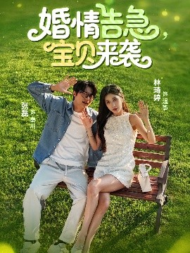 电影：婚情告急，宝贝来袭