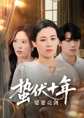 电影：蛰伏十年婆婆亮剑