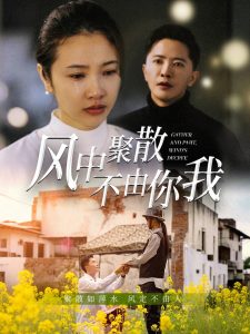 电影：风中聚散不由你我