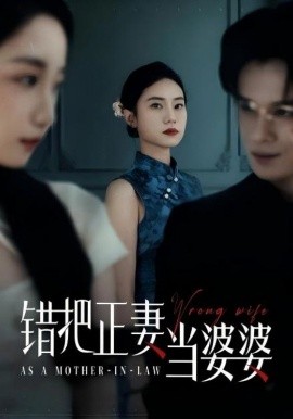 电影：错把正妻当婆婆