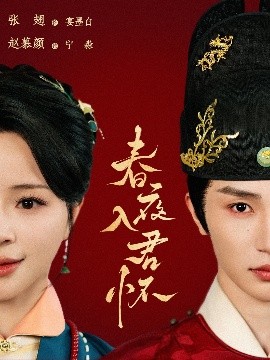 电影：春夜入君怀