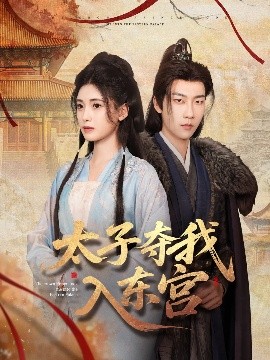 电影：太子夺我入东宫