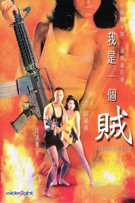 电影:我是一个贼粤语
