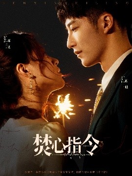 电影：焚心指令