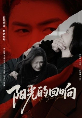 电影：阳光的回响