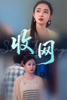 电影：收网