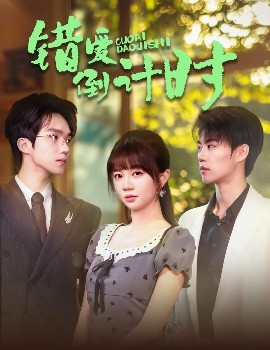 电影：错爱倒计时