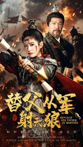 电影：替父从军射天狼