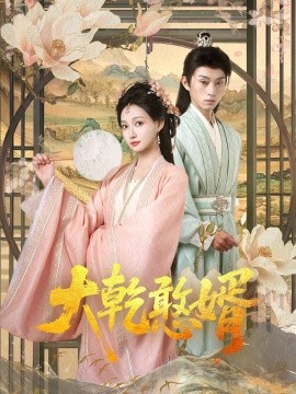 电影：大乾憨婿101集