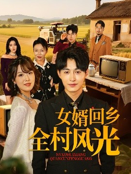 电影：女婿回乡全村风光
