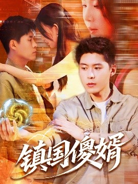 电影：镇国傻婿