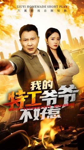 电影：我的特工爷爷不好惹