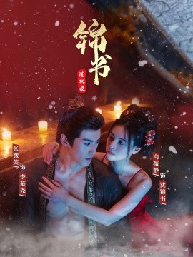 电影：锦书谋权录