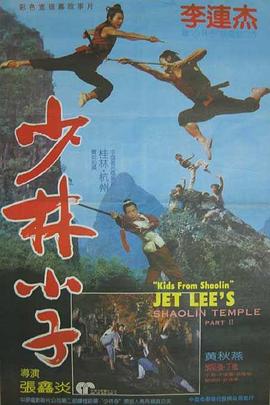 电影：少林小子粤语
