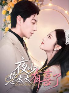 电影：夜少，您太太有喜了
