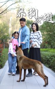 电影：养狗应有道