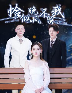 电影：恰似晚风不留我＆弃他如风