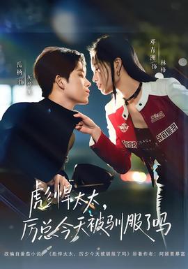 电影：彪悍太太，厉总今天被驯服了吗