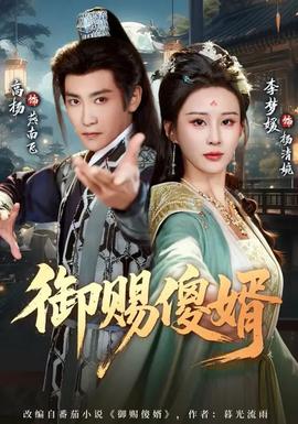 电影：御赐傻婿