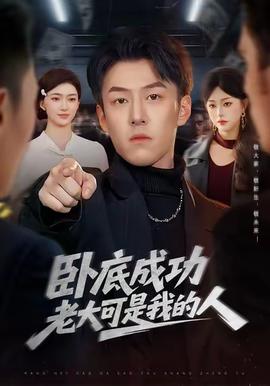 电影：卧底成功老大可是我的人