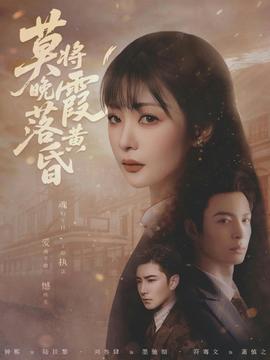 电影：莫将晚霞落黄昏