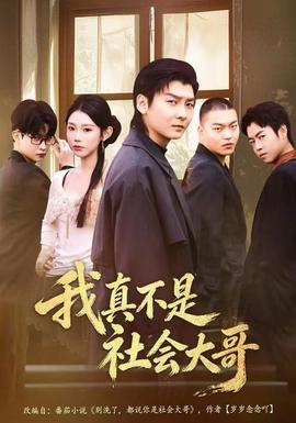 电影：我真不是社会大哥