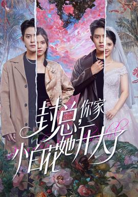 电影：封总，你家小白花她开大了