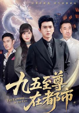 电影：九五至尊在都市