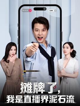 电影：摊牌了，我是直播界泥石流